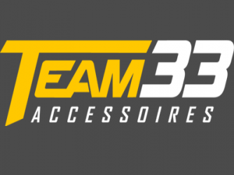 Logo Team 33